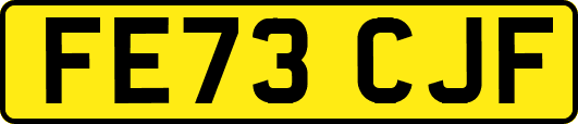 FE73CJF