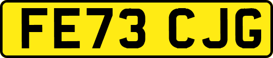 FE73CJG
