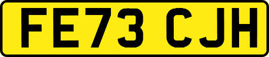 FE73CJH