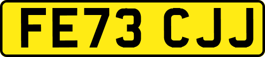 FE73CJJ