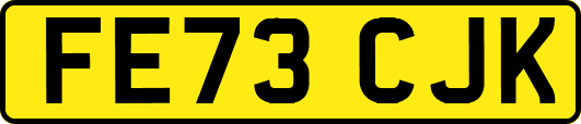 FE73CJK
