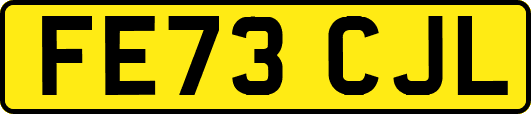 FE73CJL