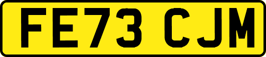 FE73CJM