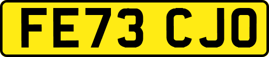 FE73CJO