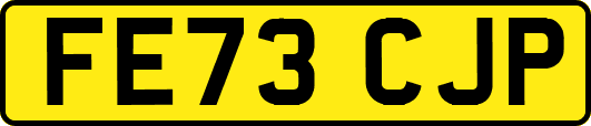 FE73CJP