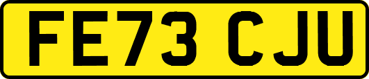 FE73CJU