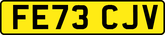 FE73CJV