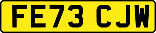 FE73CJW