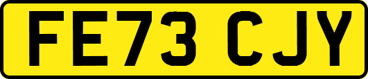 FE73CJY