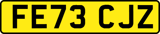 FE73CJZ