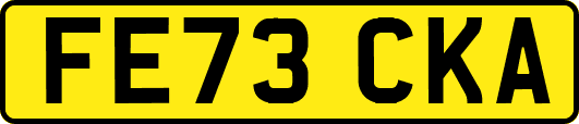FE73CKA