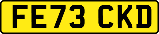 FE73CKD