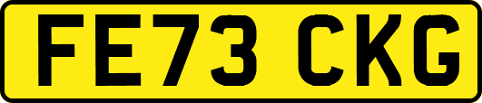FE73CKG