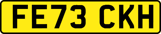FE73CKH