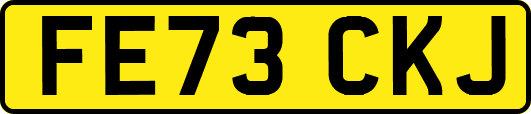FE73CKJ