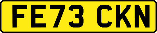 FE73CKN