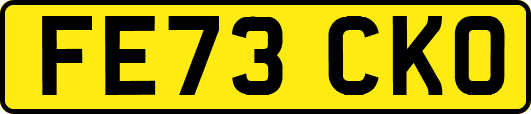 FE73CKO