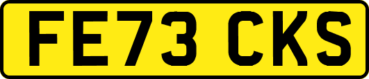FE73CKS