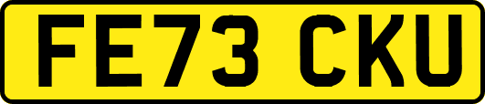 FE73CKU