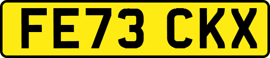 FE73CKX