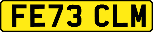 FE73CLM