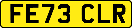 FE73CLR
