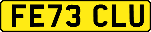 FE73CLU