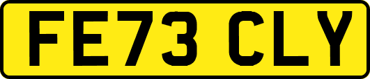 FE73CLY