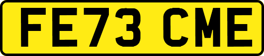 FE73CME