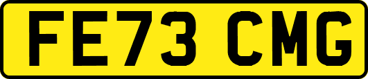 FE73CMG