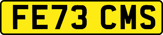 FE73CMS