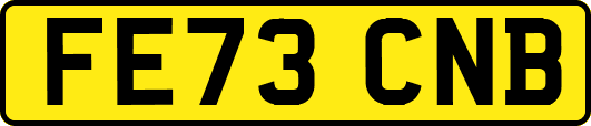 FE73CNB