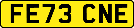 FE73CNE
