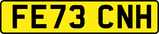 FE73CNH