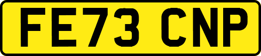 FE73CNP