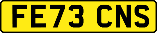 FE73CNS