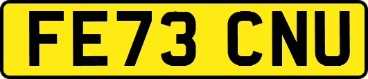FE73CNU