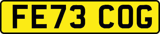 FE73COG