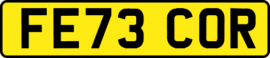 FE73COR