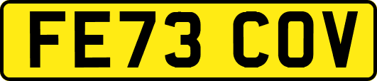 FE73COV