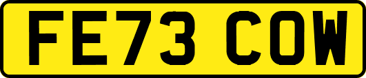 FE73COW