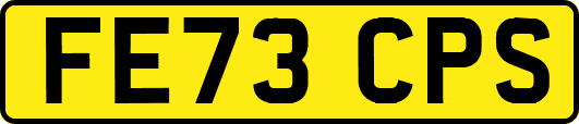 FE73CPS