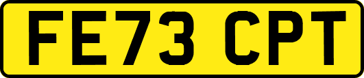 FE73CPT