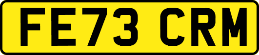 FE73CRM