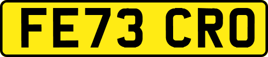 FE73CRO