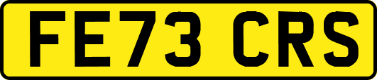 FE73CRS