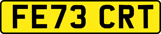 FE73CRT