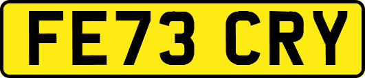 FE73CRY