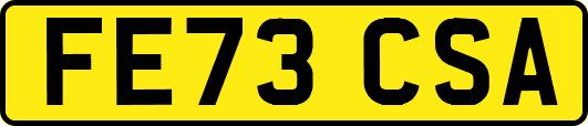 FE73CSA