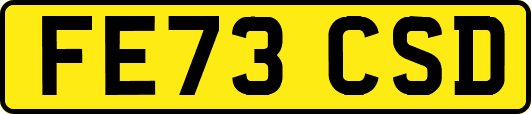 FE73CSD